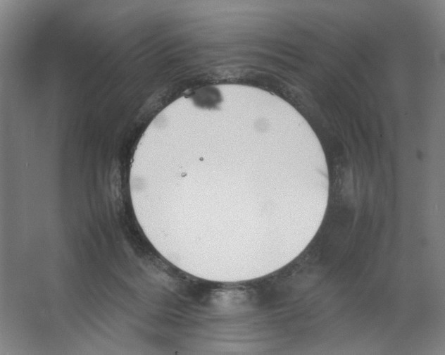 X0000066520220200604141822