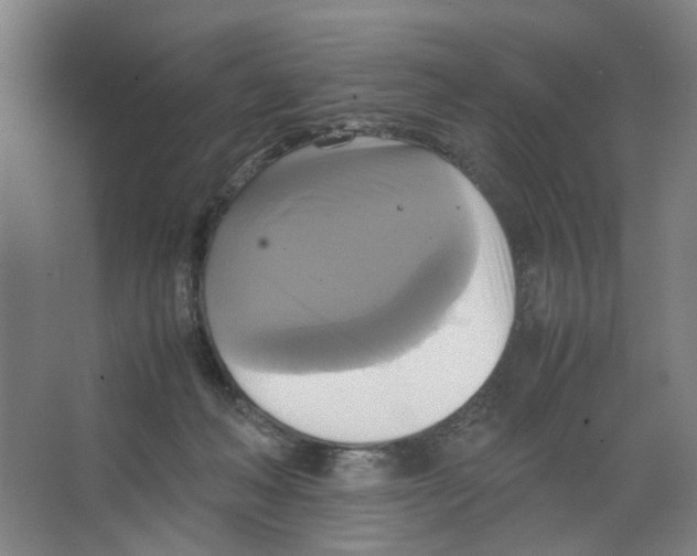 X0000066520222200604141822