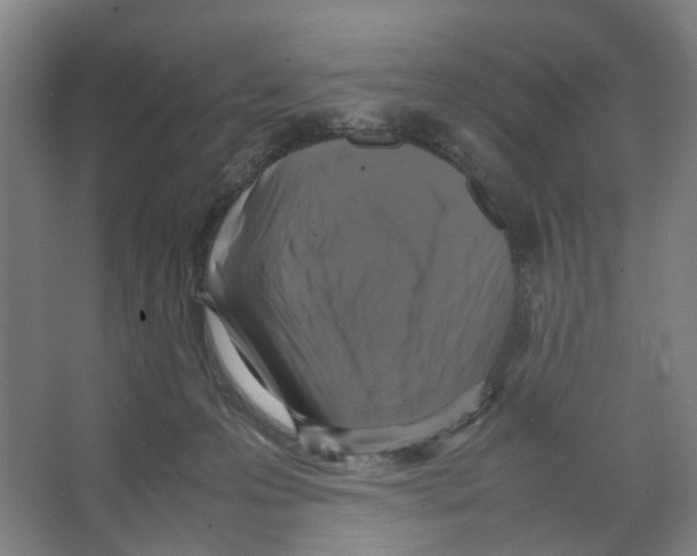 X0000066520223200604141822