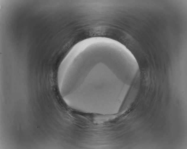 X0000066520224200604141822