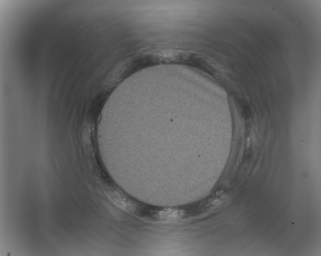 X0000066520225200604141822