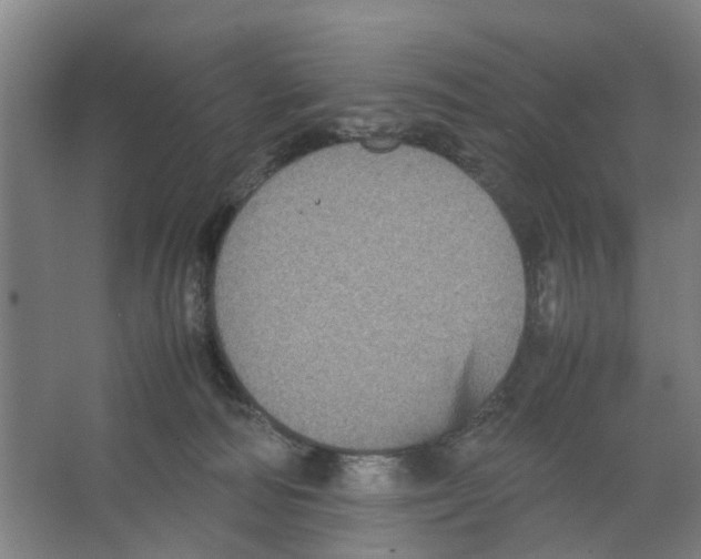 X0000066520226200604141822