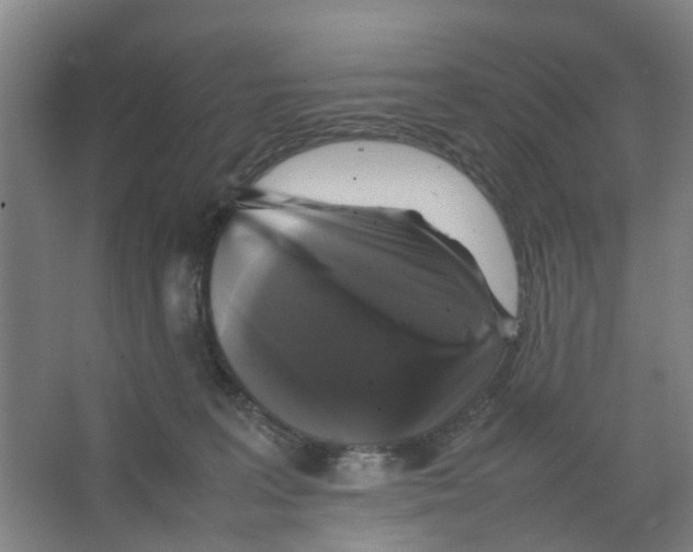 X0000066520227200604141822