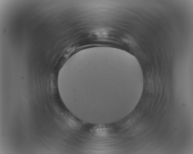 X0000066520228200604141822