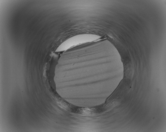 X0000066520229200604141822