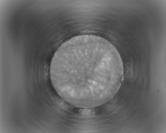 X0000066520230200604141822