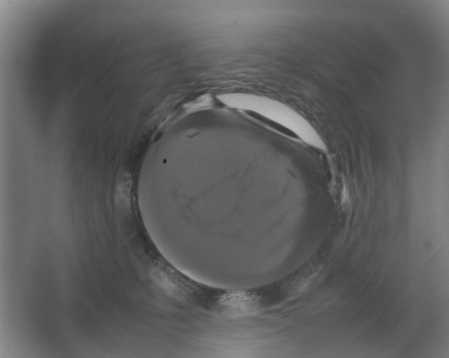 X0000066520231200604141822