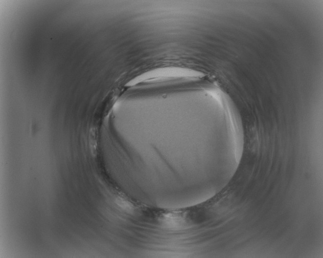 X0000066520232200604141822