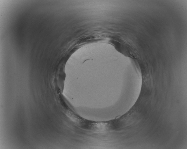 X0000066520233200604141822