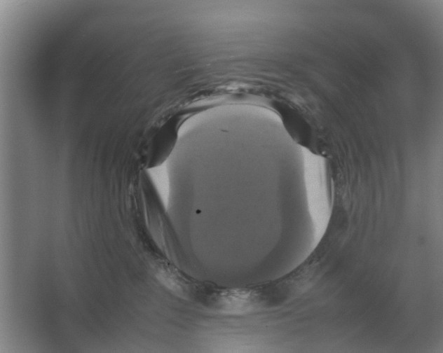 X0000066520235200604141822