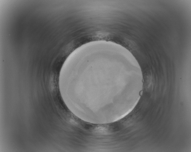 X0000066520236200604141822