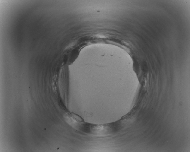 X0000066520237200604141822