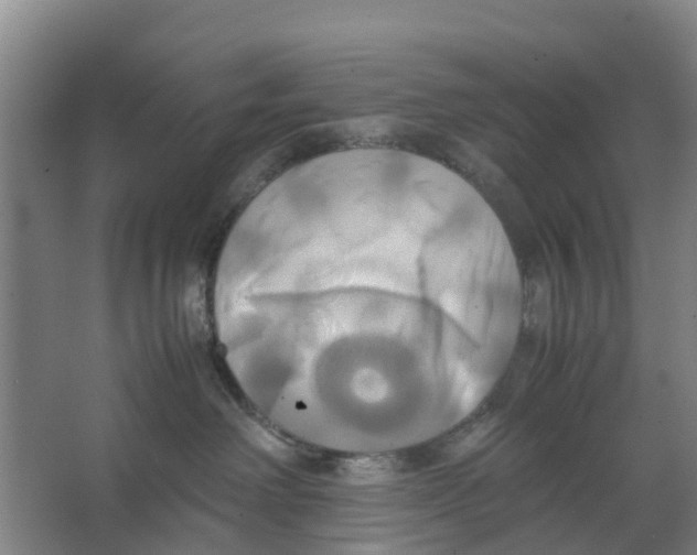 X0000066520238200604141822