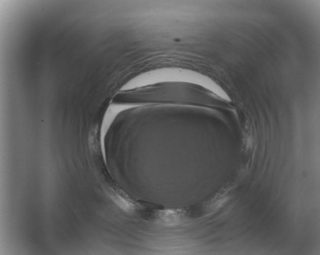 X0000066520239200604141822