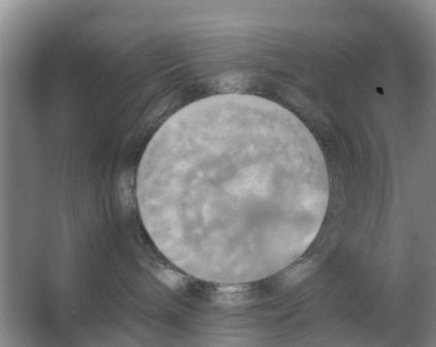 X0000066520240200604141822