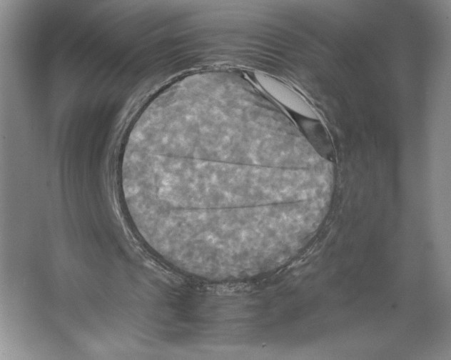 X0000066520241200604141821