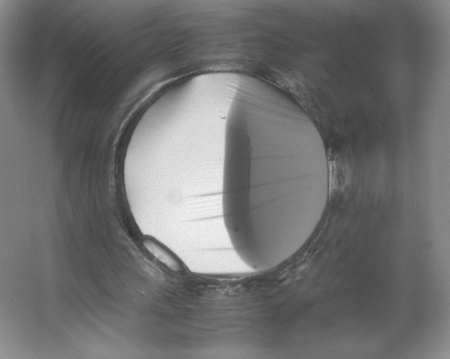 X0000066520243200604141821