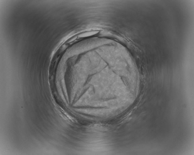 X0000066520244200604141821