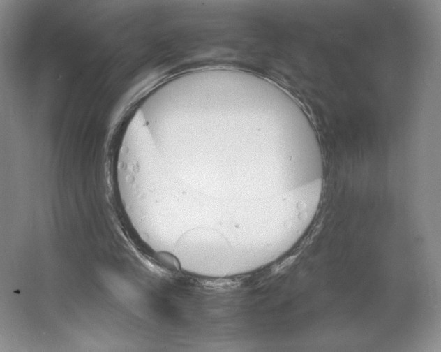 X0000066520245200604141821