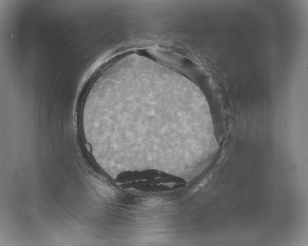 X0000066520246200604141821