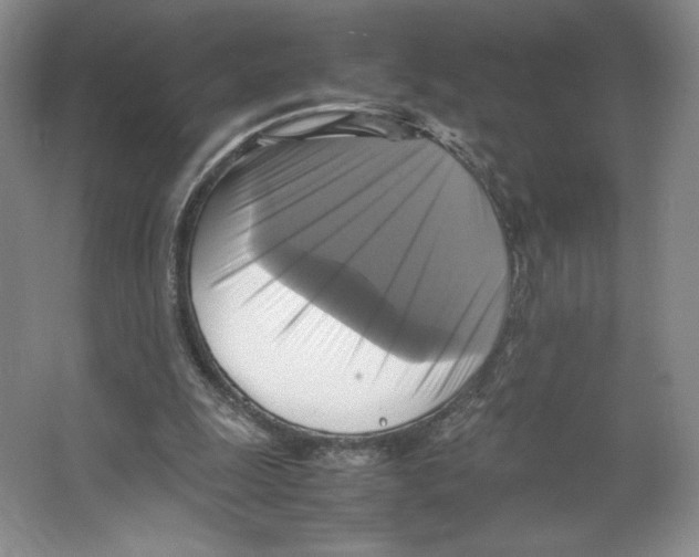 X0000066520247200604141821