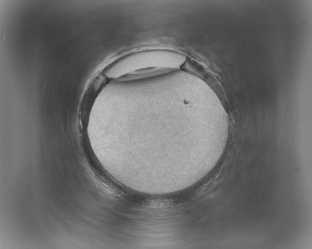 X0000066520248200604141821