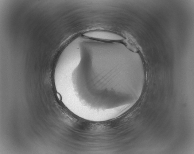 X0000066520249200604141821