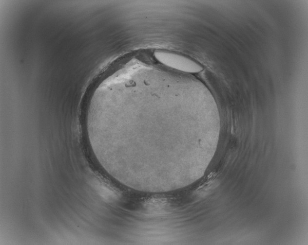 X0000066520252200604141821