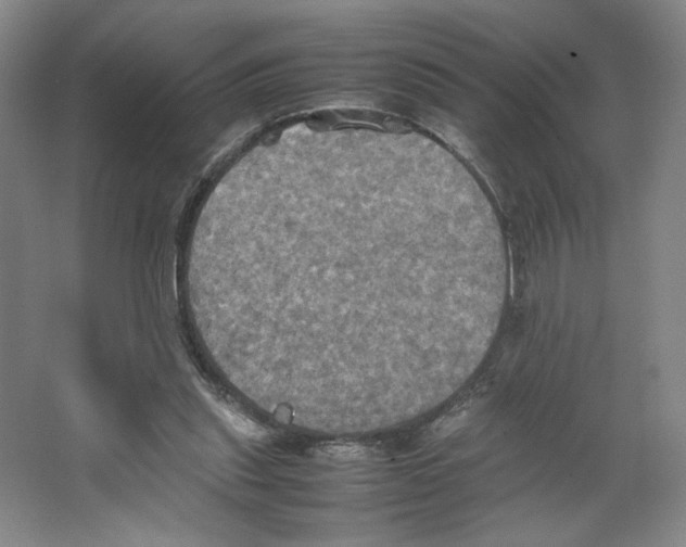 X0000066520253200604141821