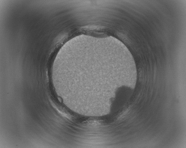 X0000066520254200604141821