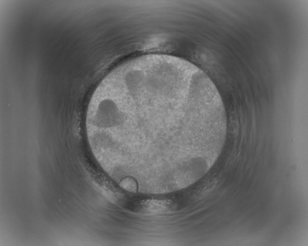 X0000066520255200604141821