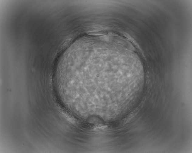 X0000066520257200604141821