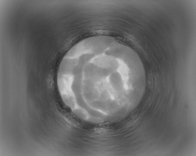 X0000066520259200604141821