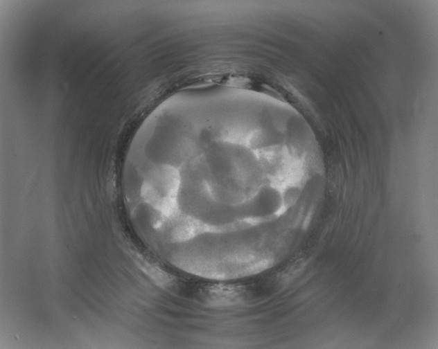 X0000066520261200604141821