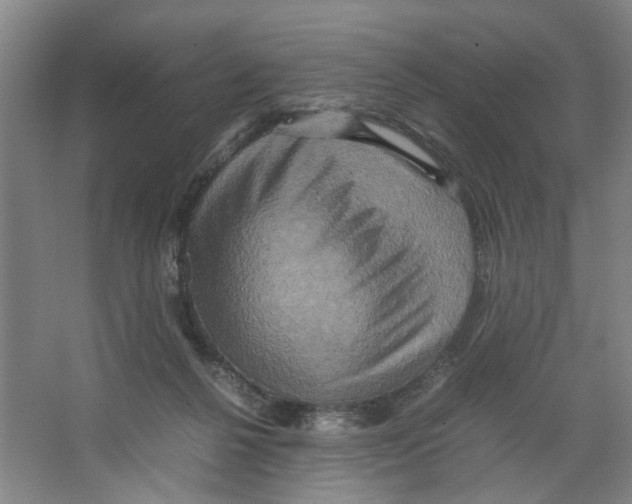 X0000066520264200604141821