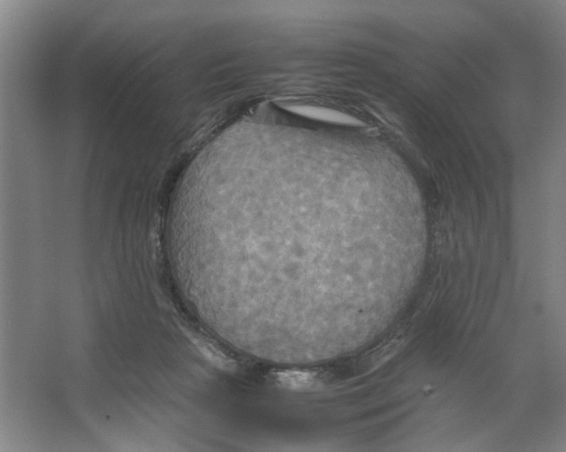 X0000066520265200604141821