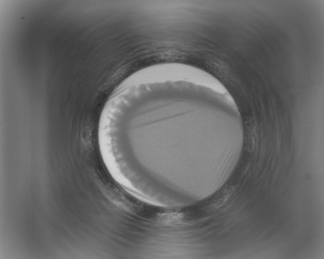 X0000066520266200604141821