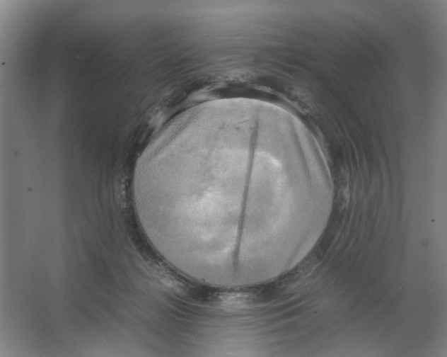 X0000066520268200604141821