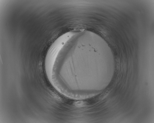 X0000066520269200604141821