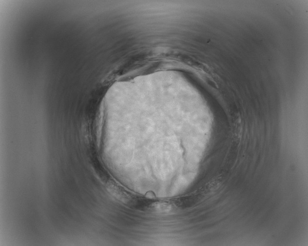 X0000066520272200604141821