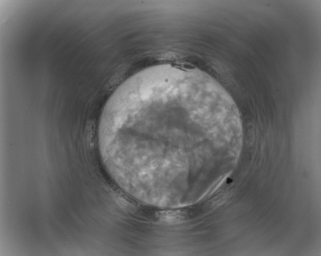 X0000066520273200604141821