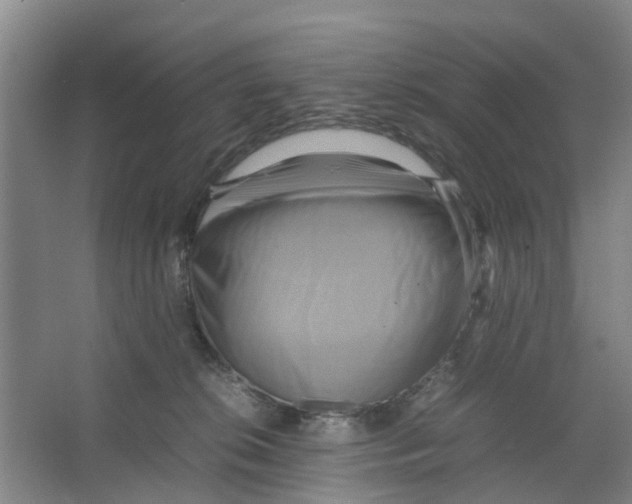 X0000066520276200604141822