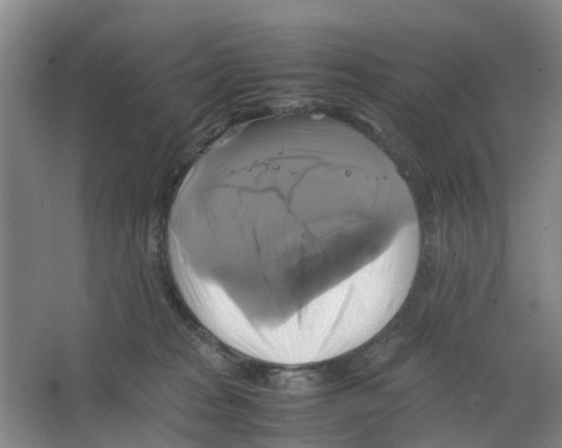 X0000066520277200604141822