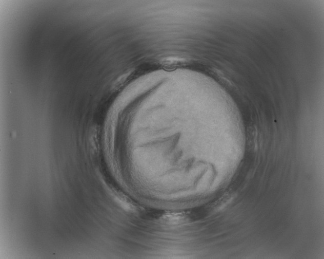 X0000066520280200604141822