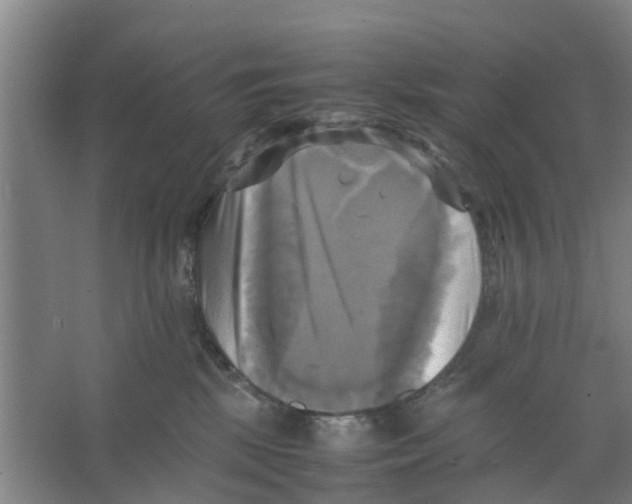 X0000066520281200604141822