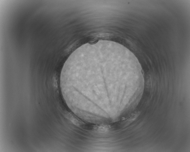 X0000066520282200604141822