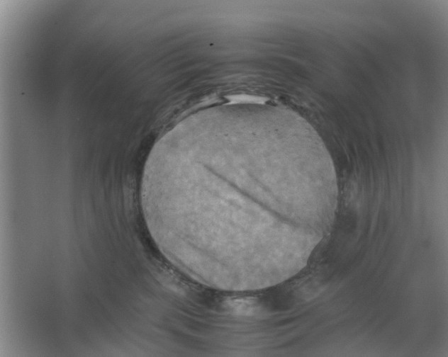 X0000066520283200604141822