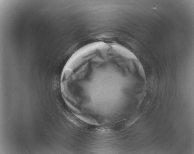 X0000066520284200604141822