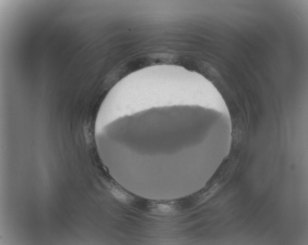 X0000066520285200604141822