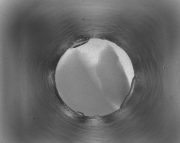 X0000066520286200604141822